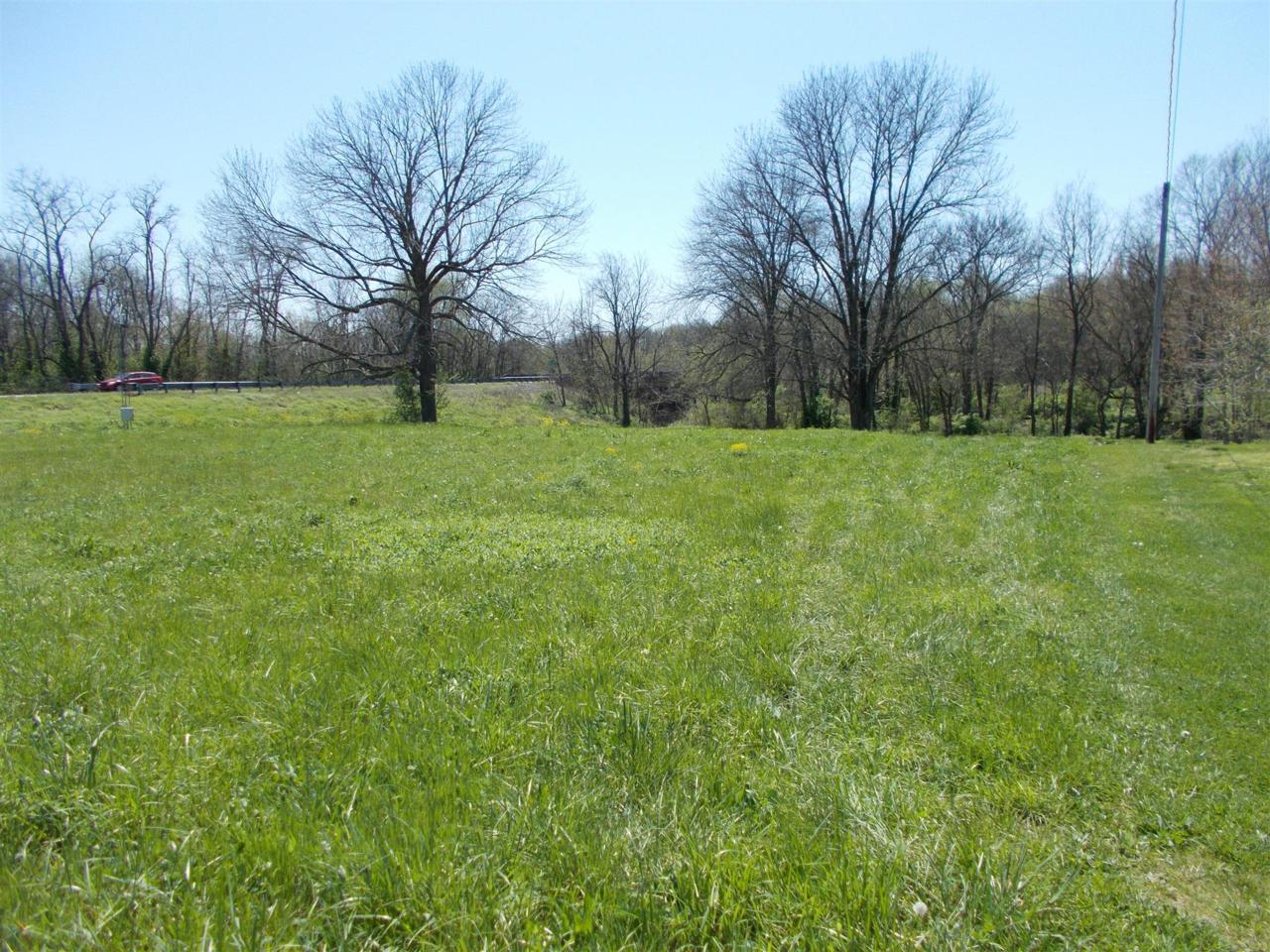 0 Highway & Mt Vernon Rd - Photo 1