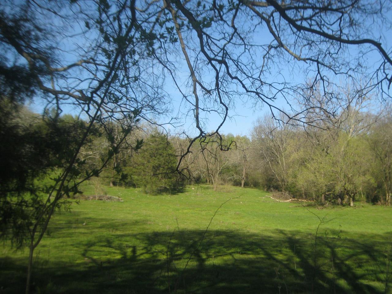 0 Old Trammel Rd - Photo 1
