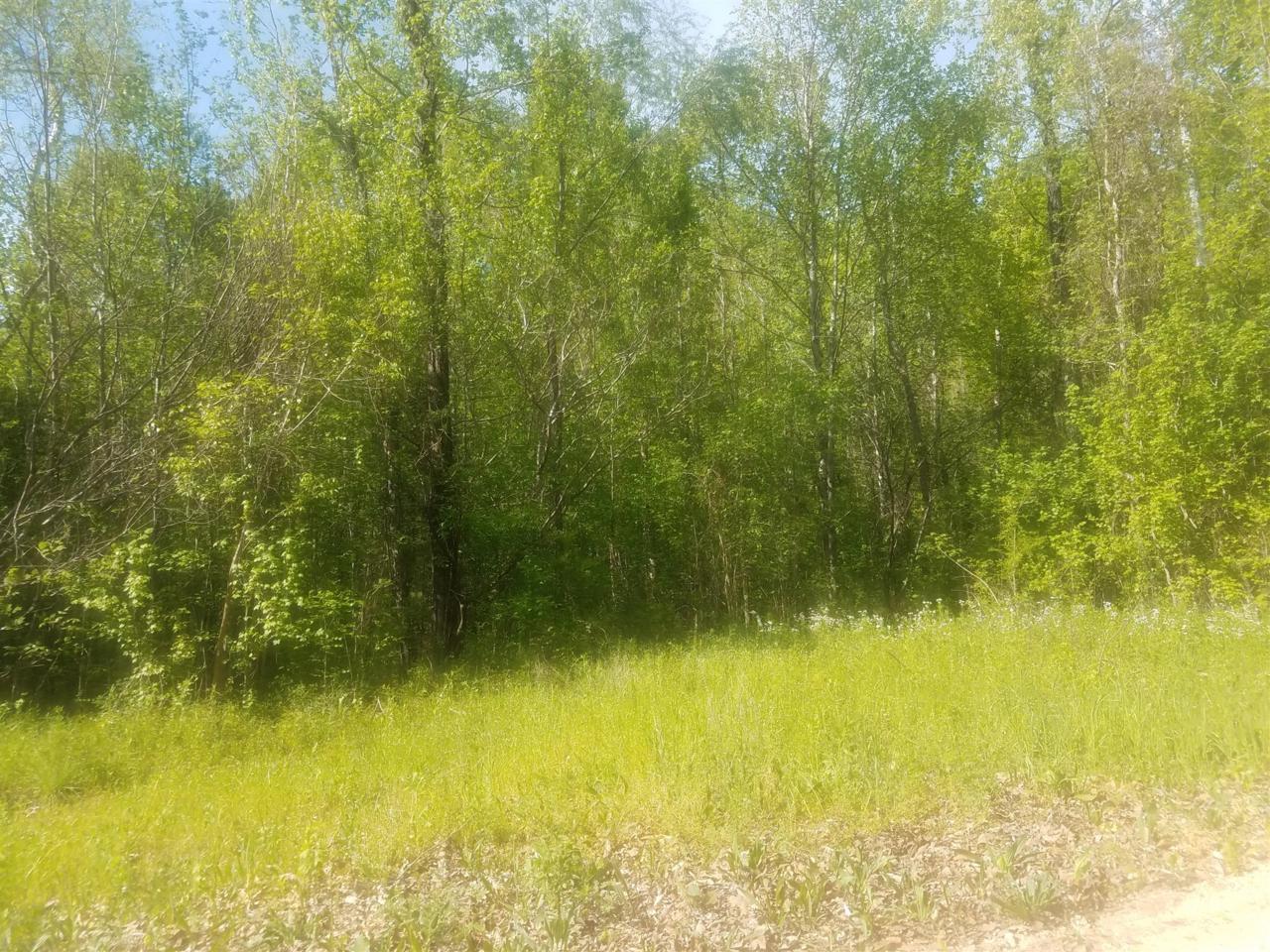 49 Paradise Rd - Photo 1