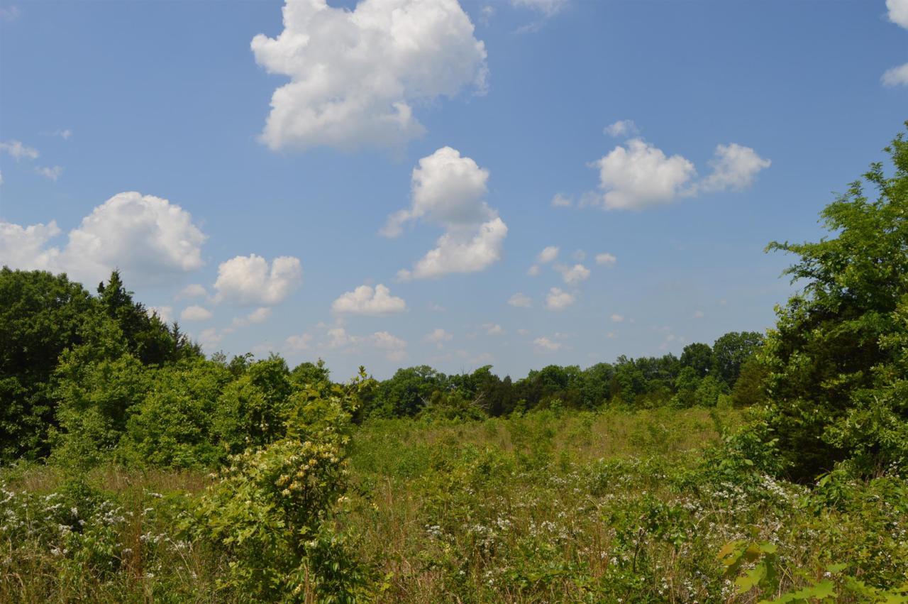 2380 Fairfield Pike - Photo 1
