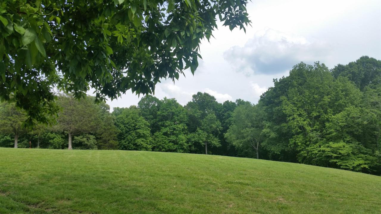 4 Barnhill - Lot #4 - Photo 1