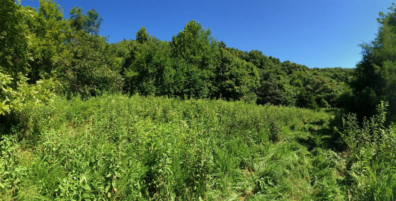 2202 S Berrys Chapel Rd - Photo 1