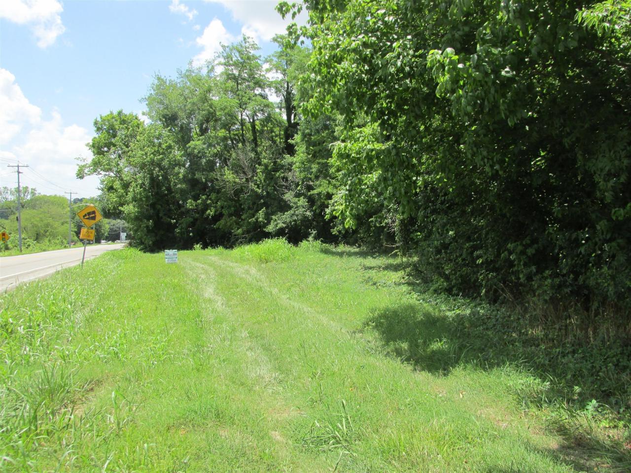0 Lewisburg Hwy - Photo 1