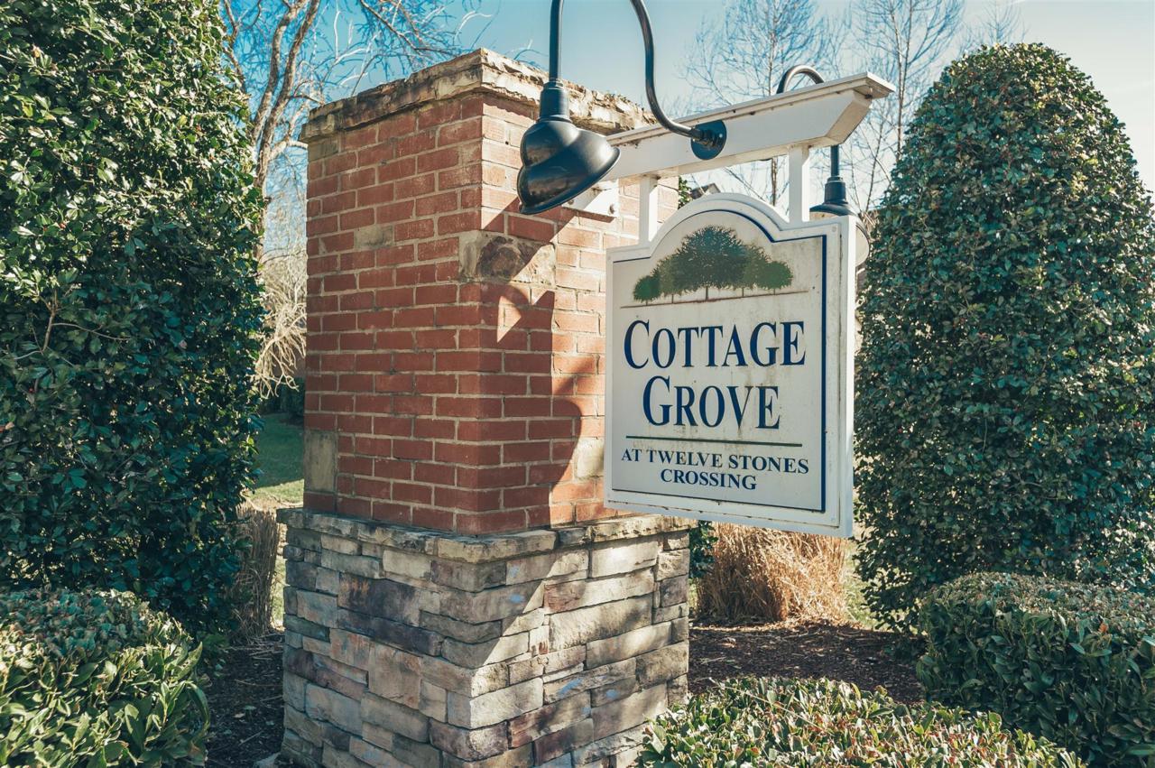 100 Placid Grove Ln Apt 603 - Photo 1