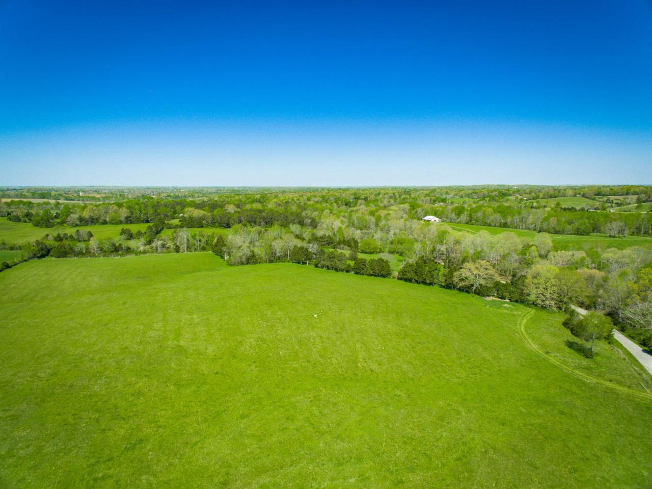 203 Stoney Creek Rd - Photo 1