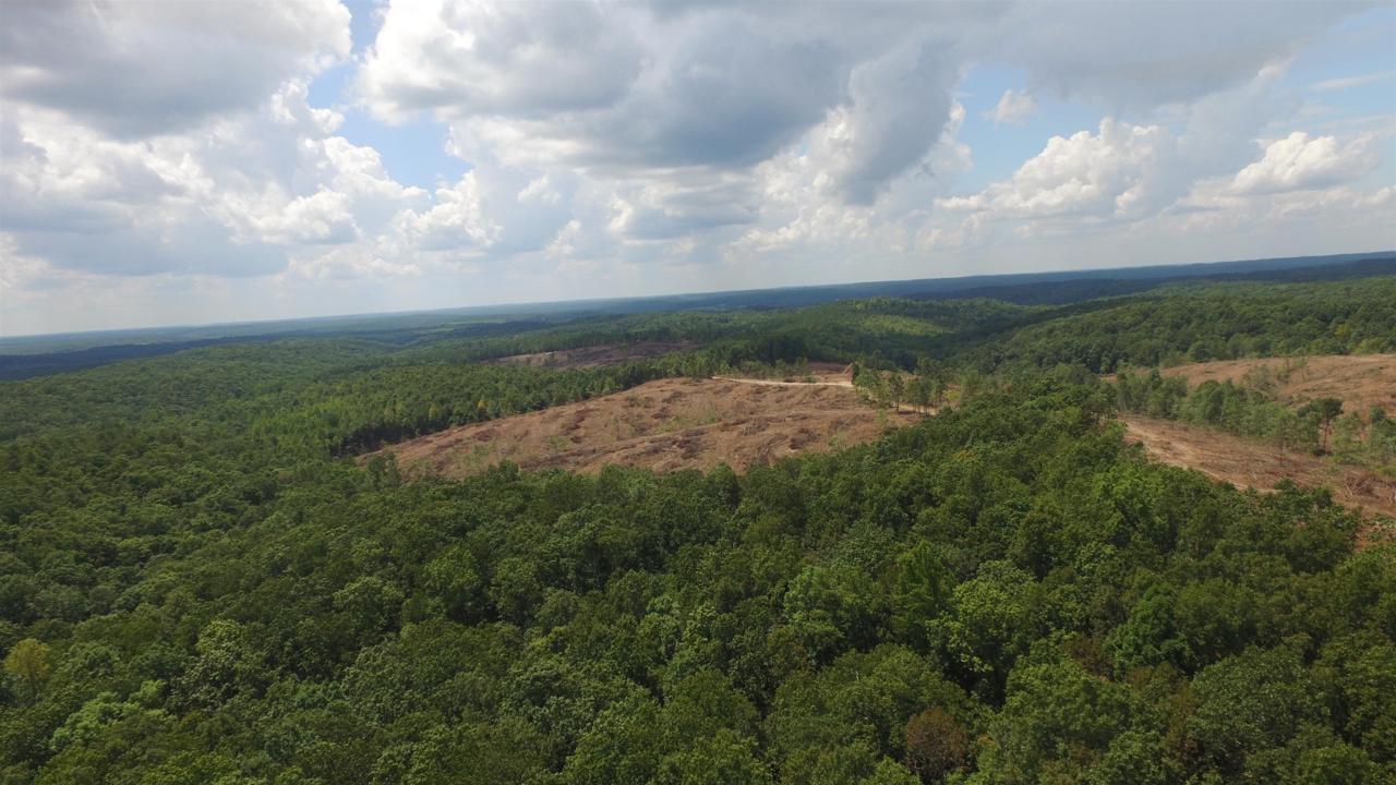 0 Hohenwald Hwy - Photo 1