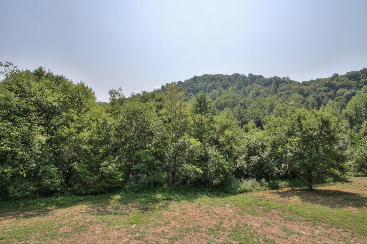 0 Dixon Creek Rd - Photo 1