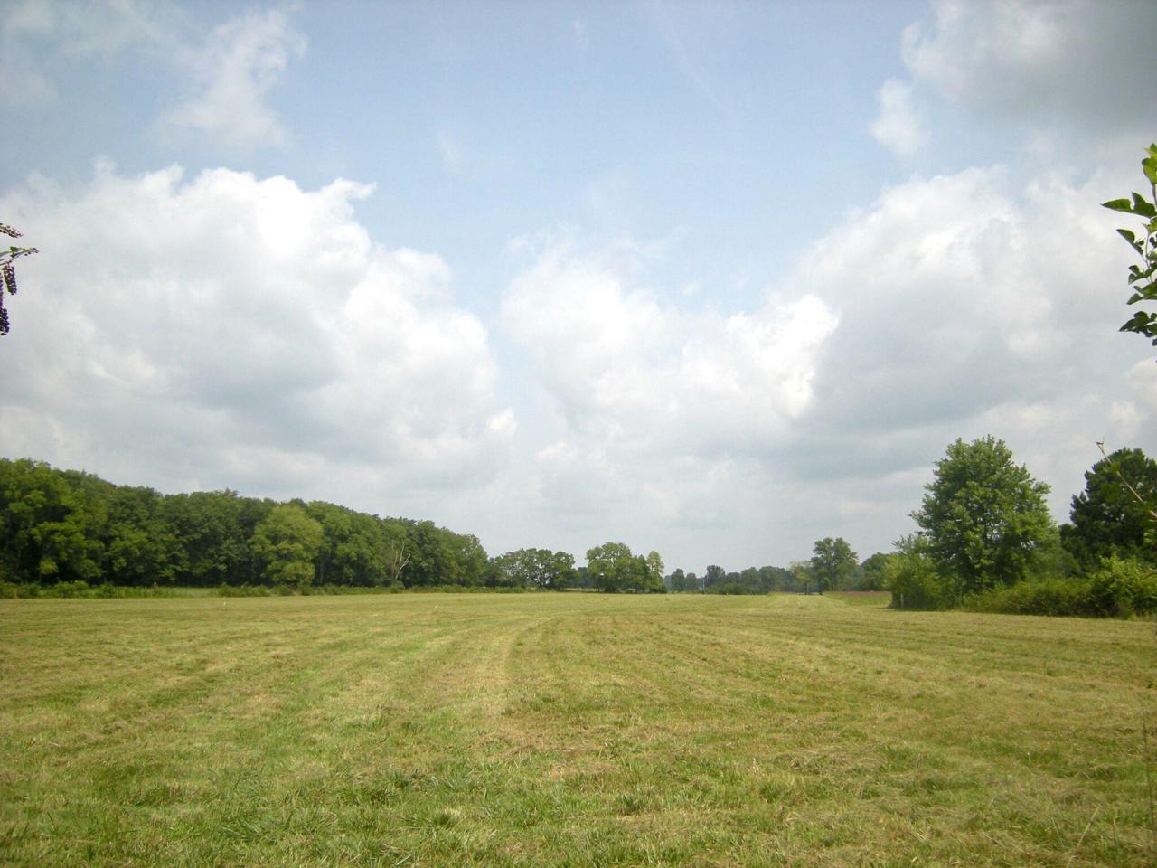 2036 Swamp Leanna Rd 1 - Photo 1