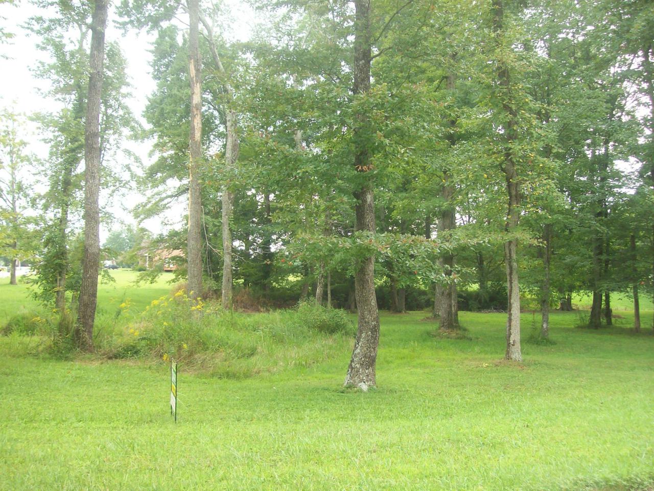 0 Froedge Drive - Photo 1