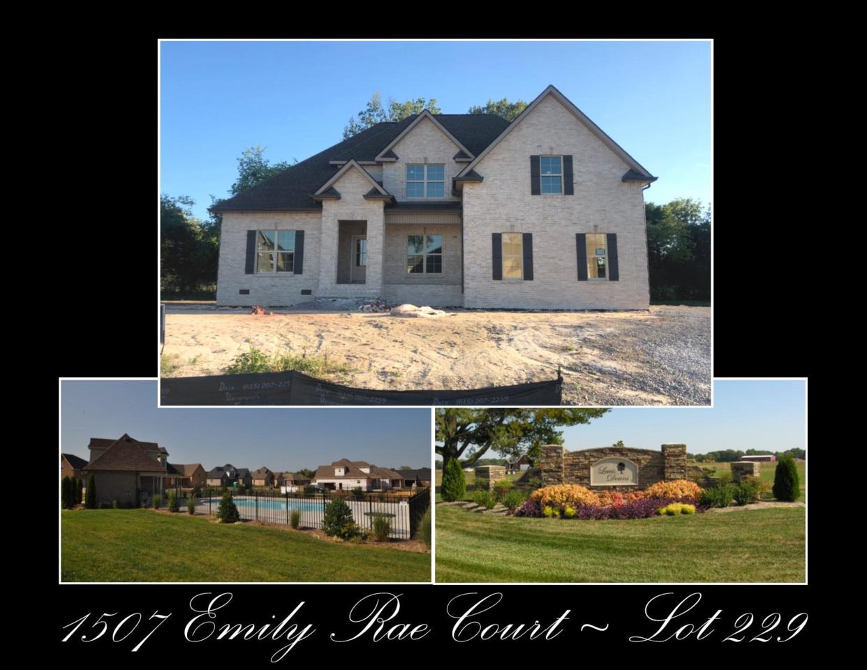 1507 Emily Rae Court - Lot 229 - Photo 1