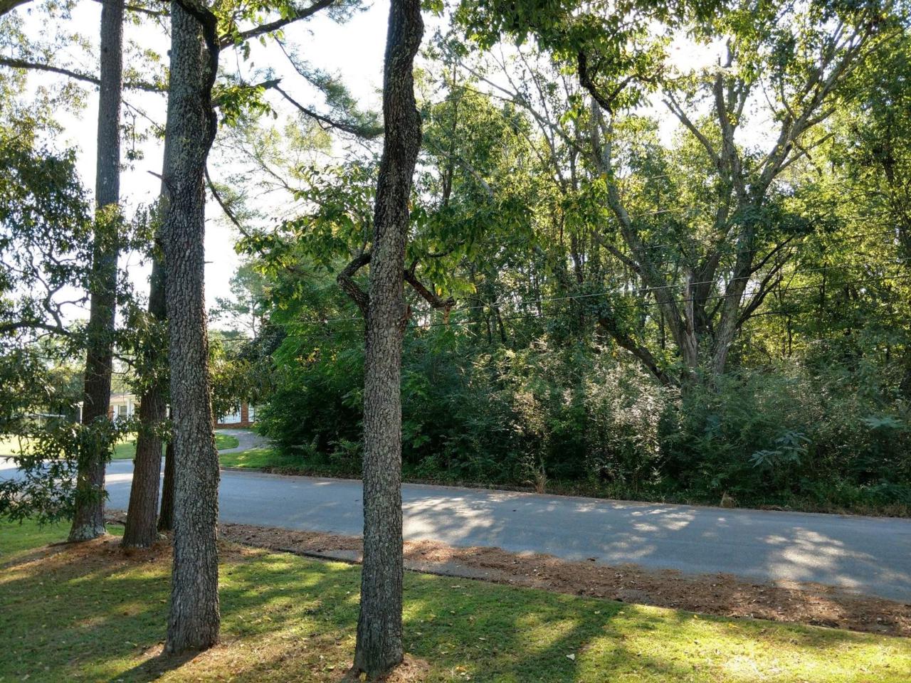 0 Virginia Dr - Photo 1