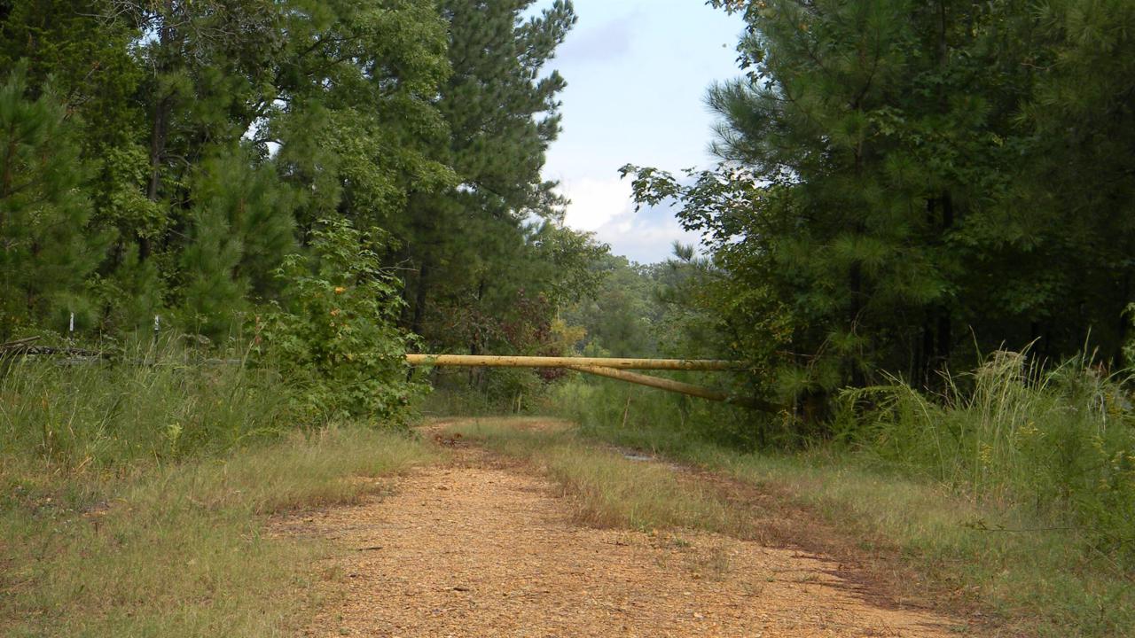 0 Gander Branch Rd - Photo 1