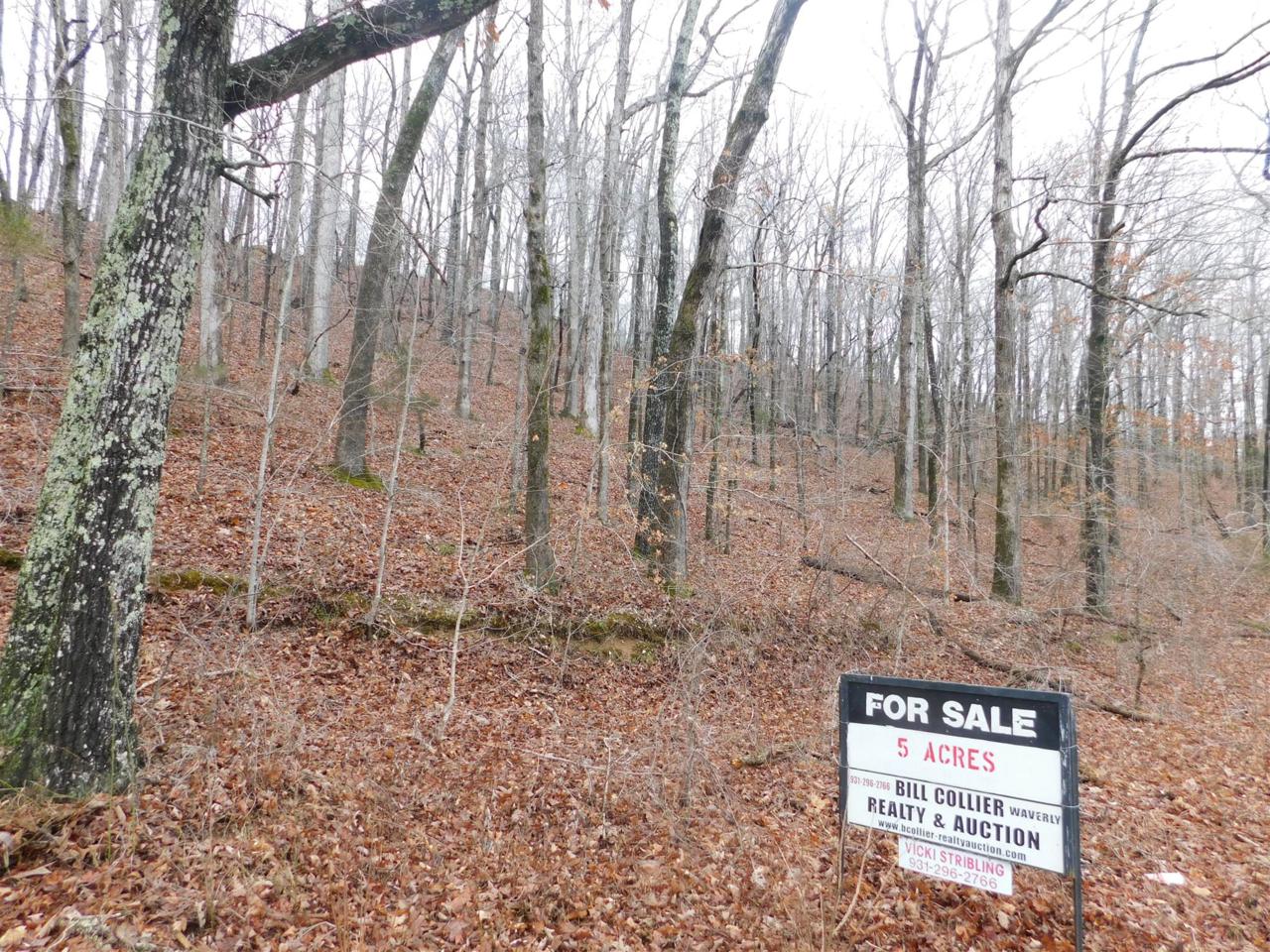 0 Tn River Blue Ck Rd - Photo 1