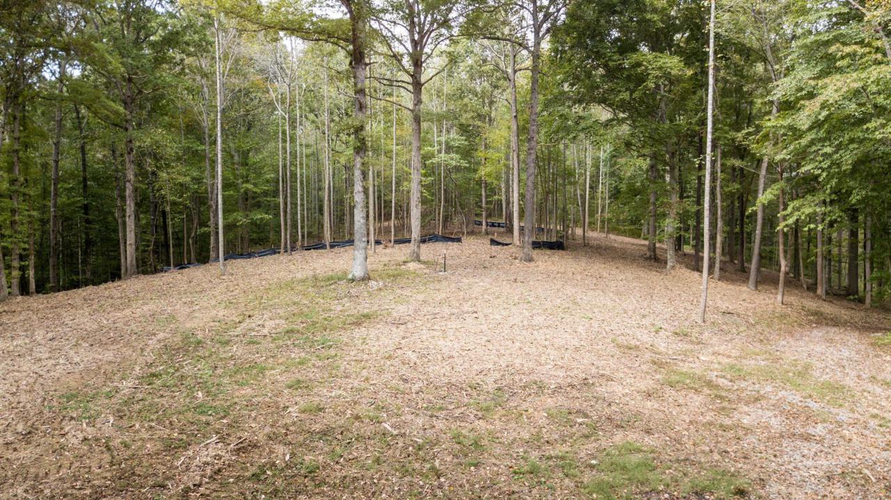 7520 Ivorybill Ln - Photo 1