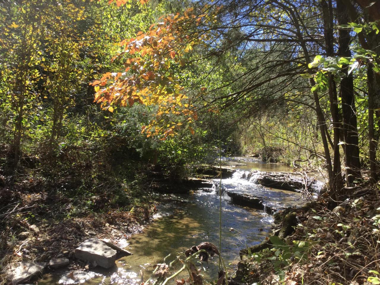 0 Dutch Creek Rd - Photo 1