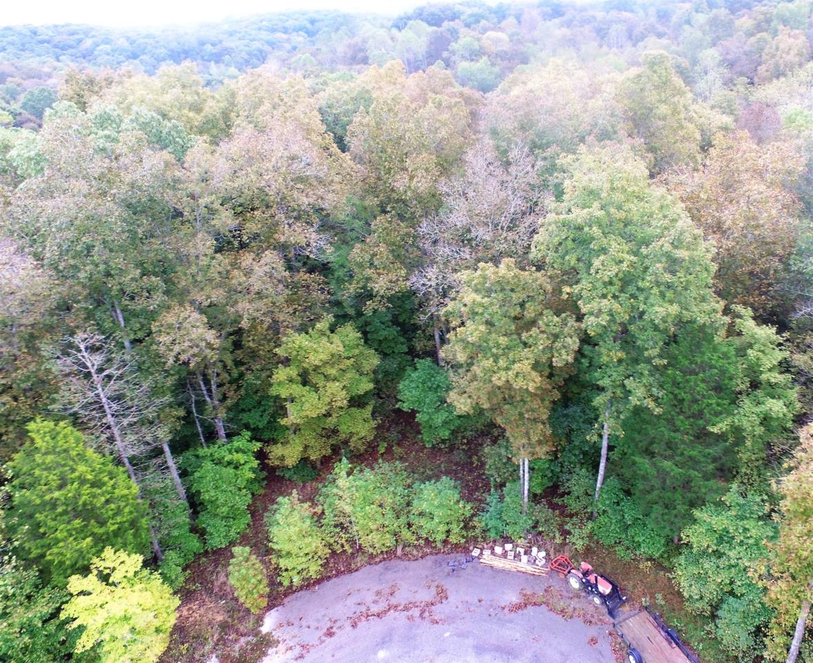 35 Autumn Trail Lot 35 - Photo 1