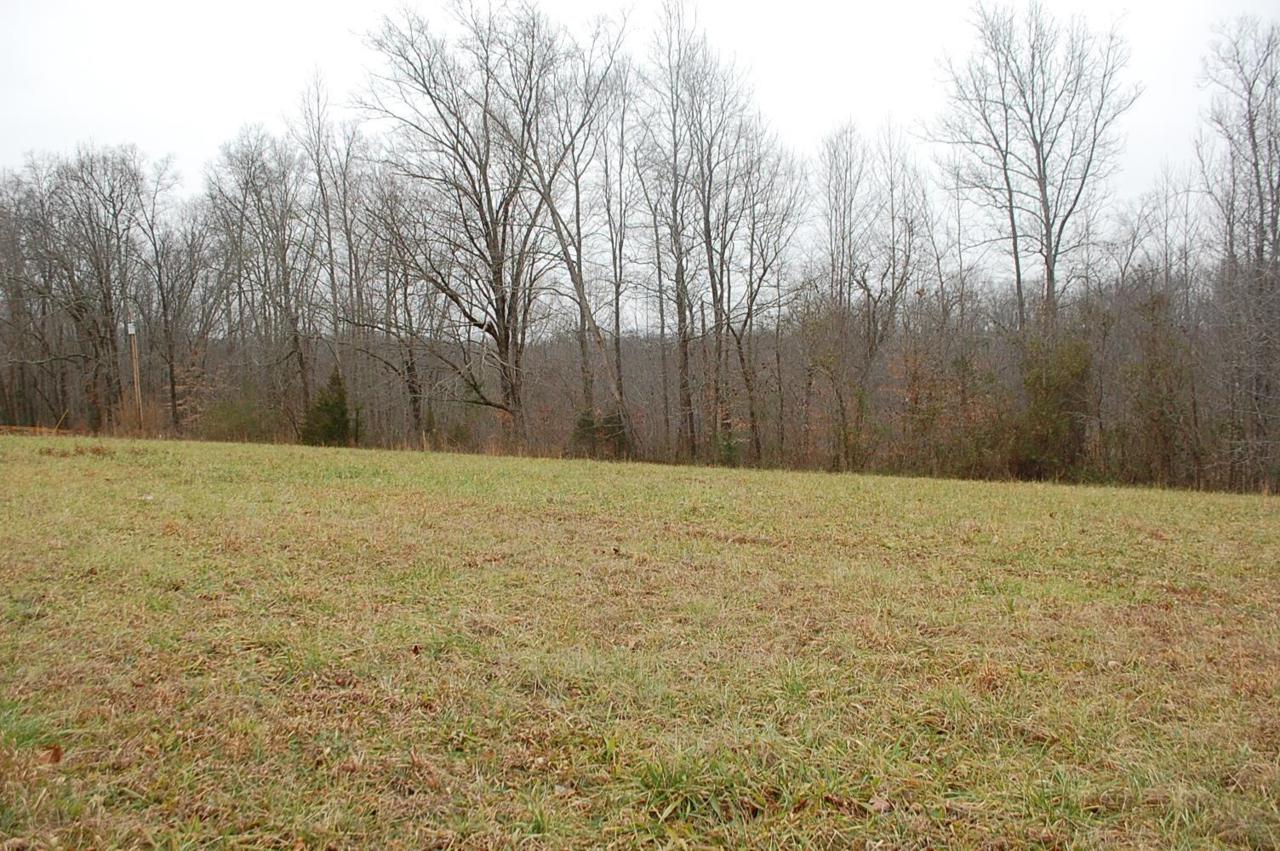 0 Turkey Creek Loop Rd - Photo 1