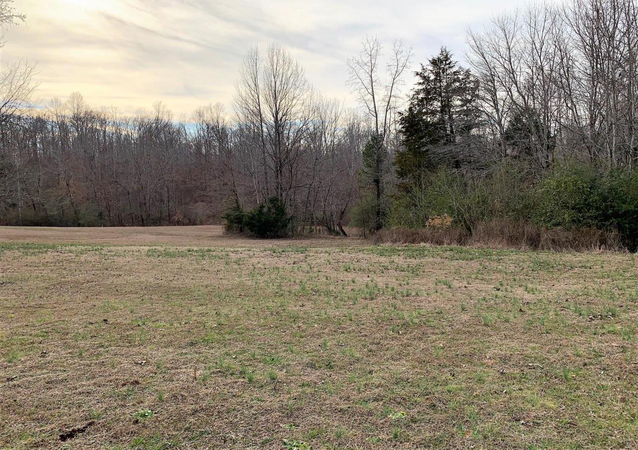 0 Brooksie Thompson Rd - Photo 1