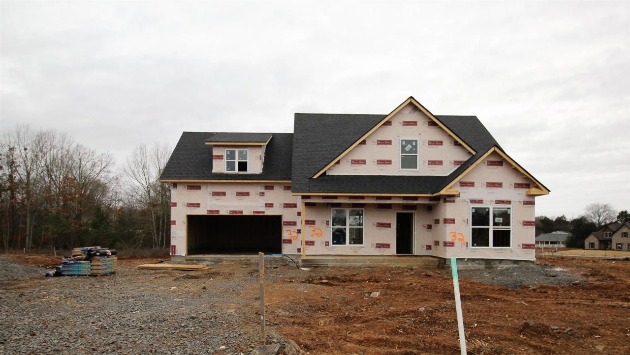 804 Sadie Ann Ct (Lot 32) - Photo 1