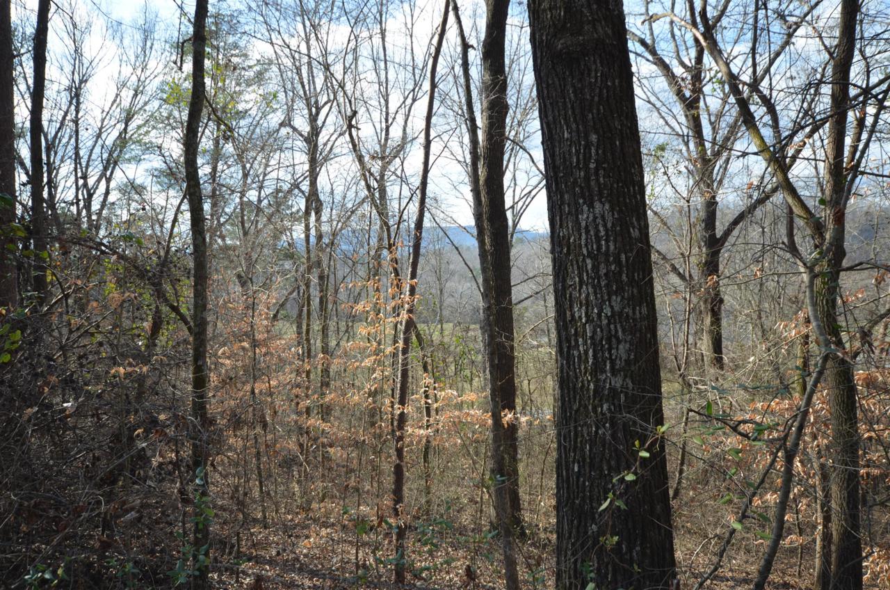 0 Gold Rd - Photo 1