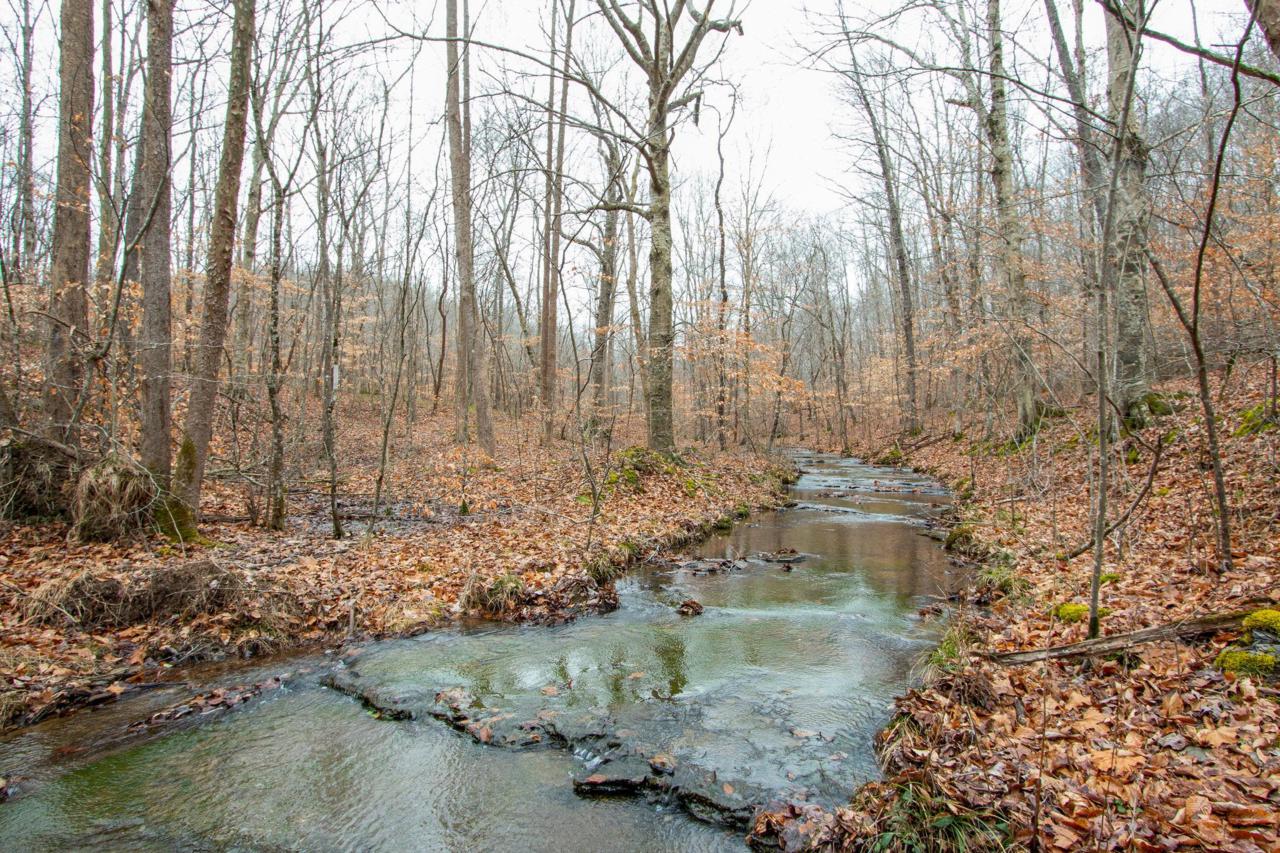 0 Baptist Branch Rd - Photo 1