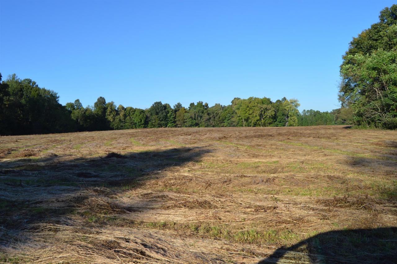 0 Panhandle Rd - Photo 1