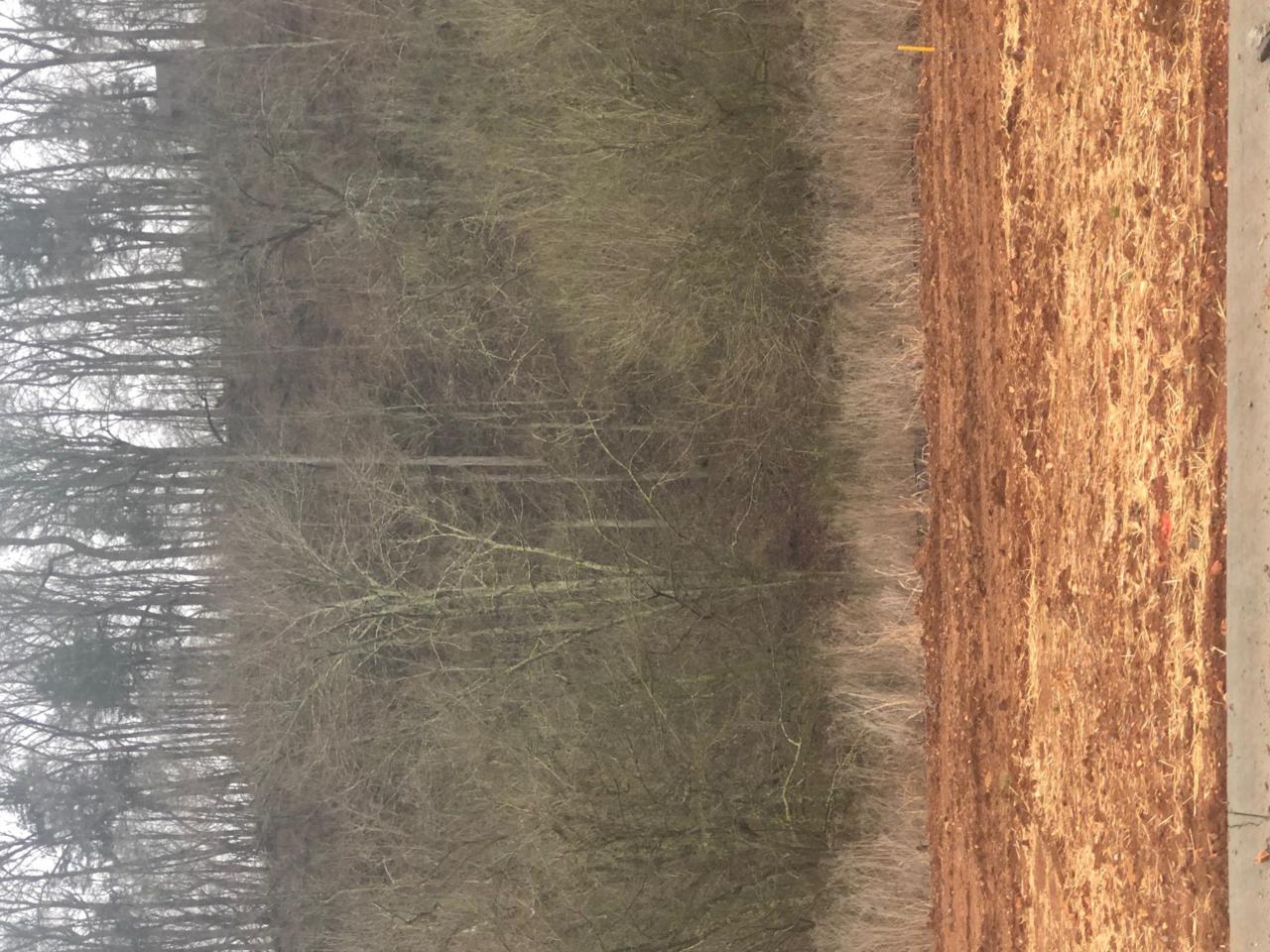 290 Autumn Creek - Photo 1