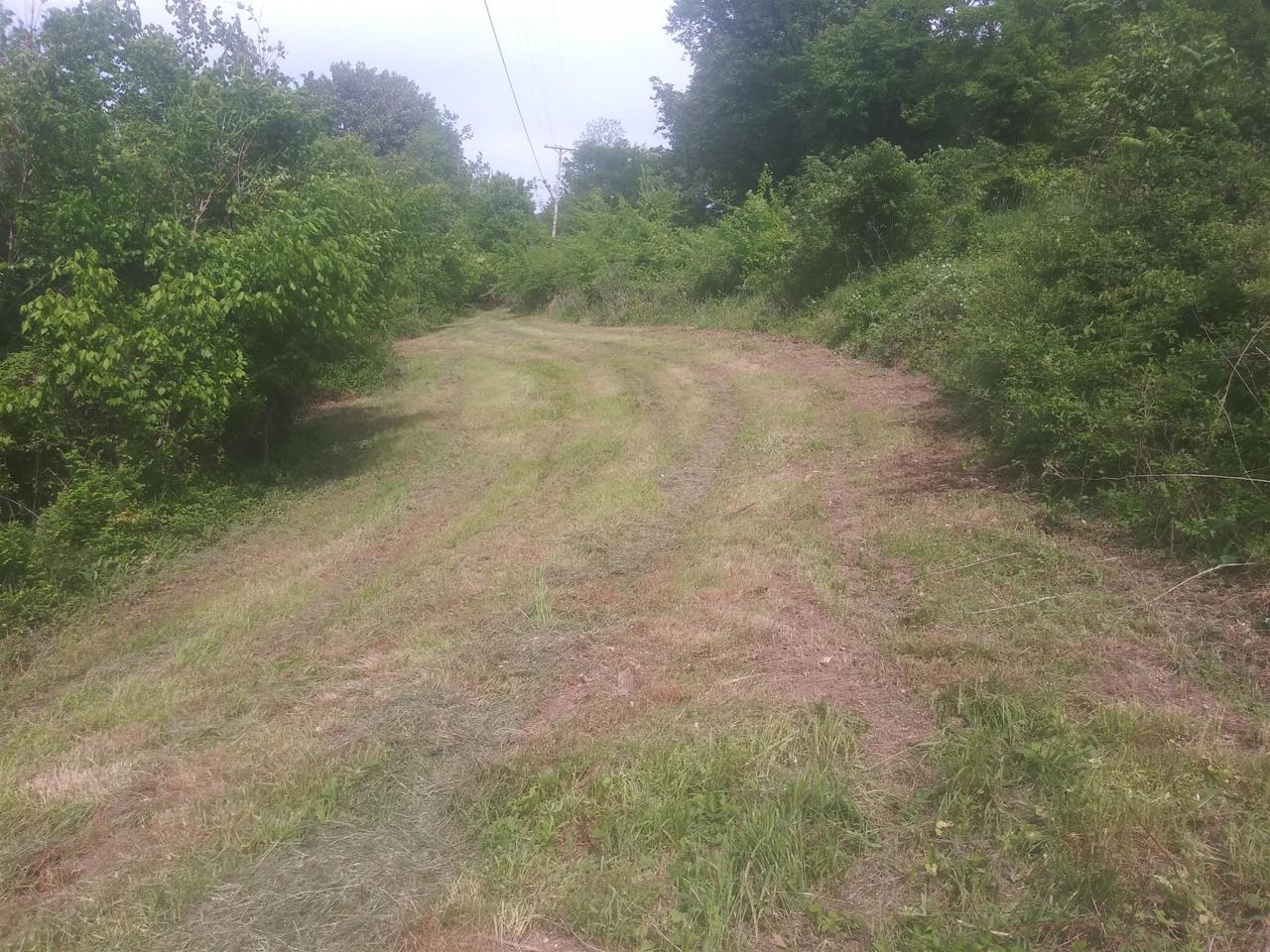 71 Sullivans Bend Rd - Photo 1