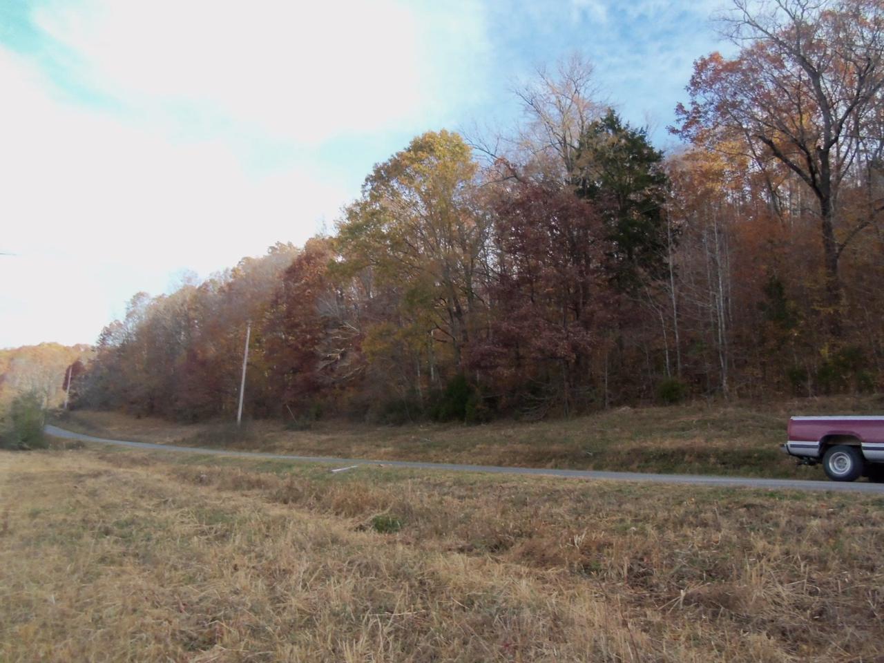 0 Shipmans Creek Rd - Photo 1