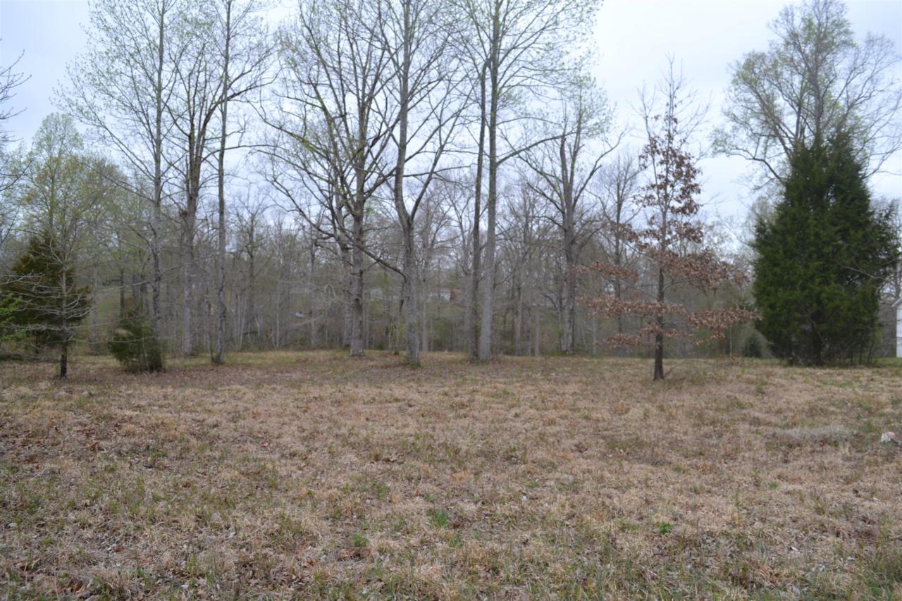 0 Lucas Ridge Ln - Photo 1