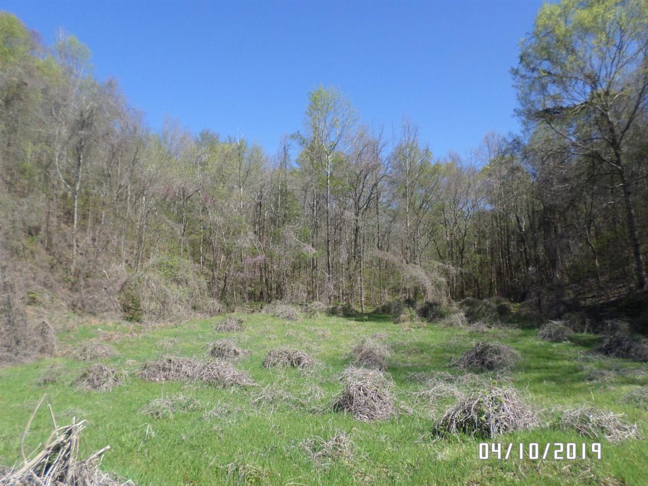 1888 Bear Creek Rd - Photo 1