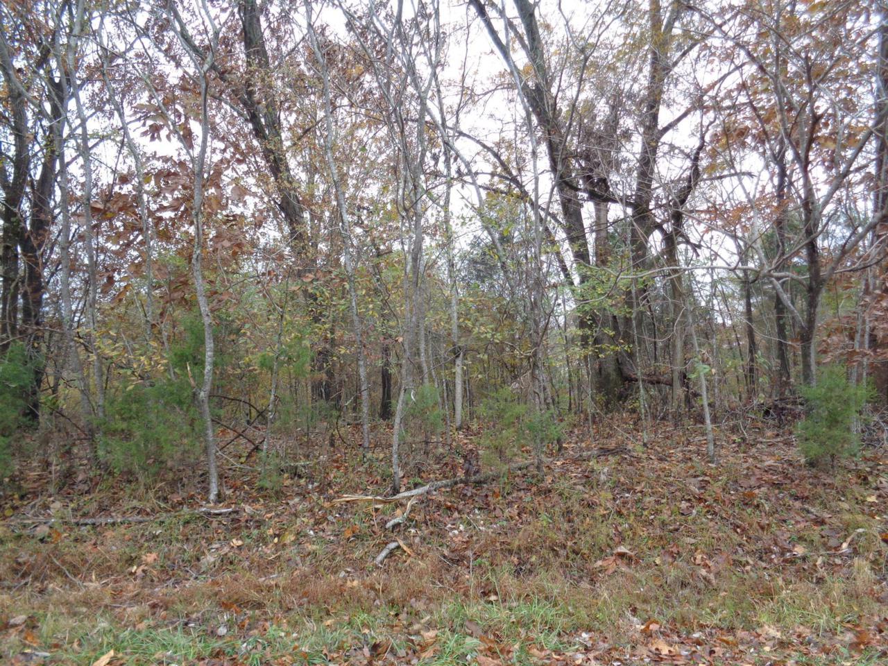 1 Huffman Park Lots 82/83 - Photo 1