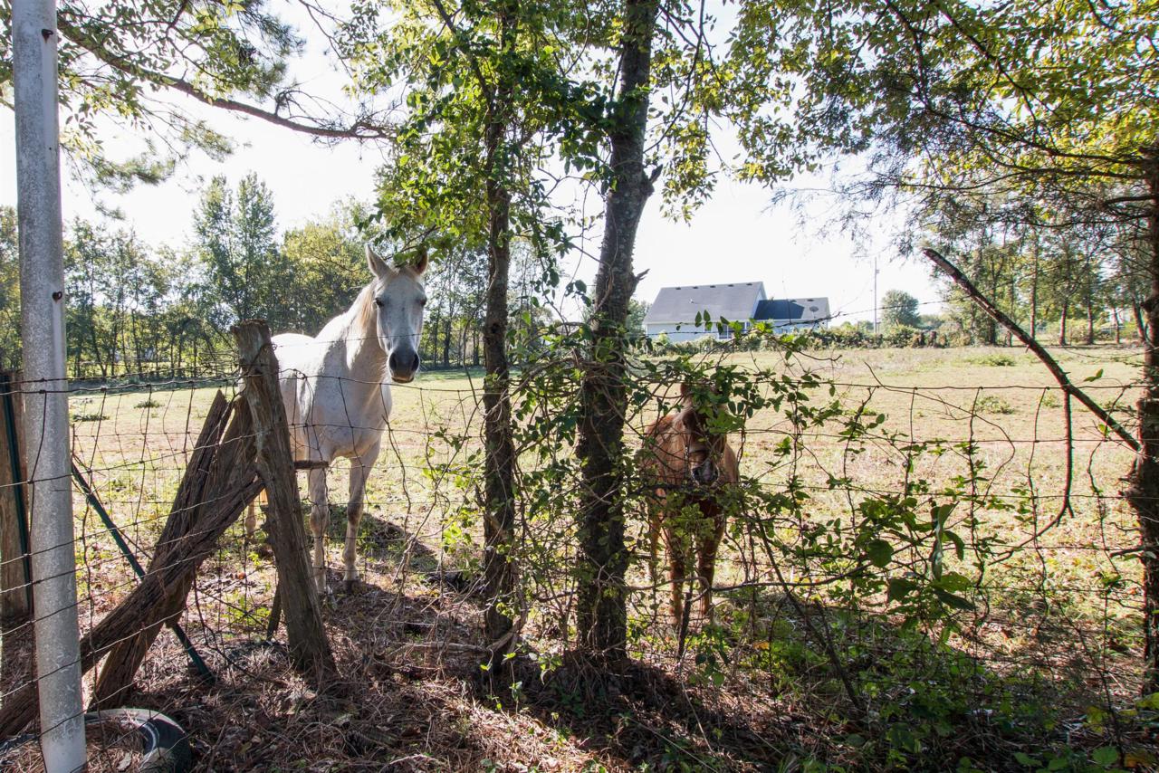 4719 Blackman Rd - Photo 1