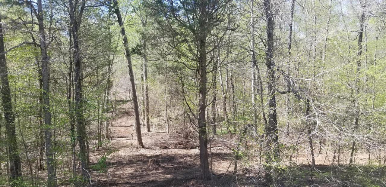 0 Hwy 47 Tract 4 - Photo 1