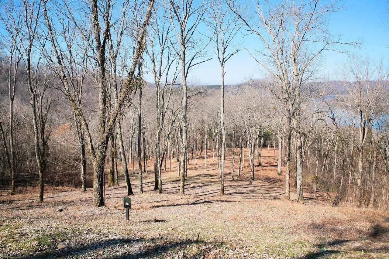 410 Wilson Cir - Photo 1