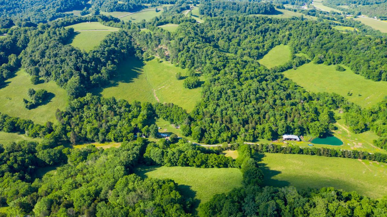 59 Giles Hollow Rd - Photo 1