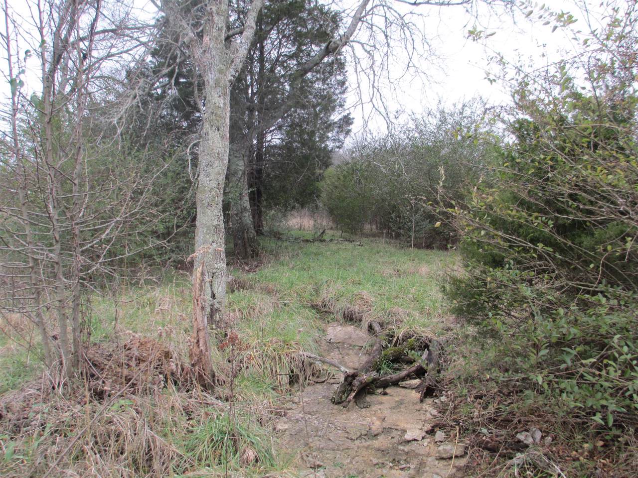 2 Vance Lane - Photo 1