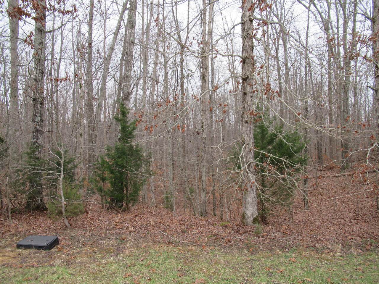 0 Highland Trl - Photo 1