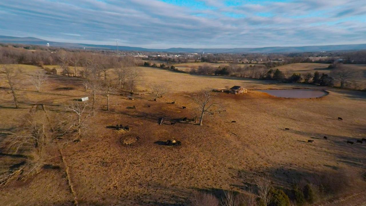 1051 Blair Pond Rd - Photo 1