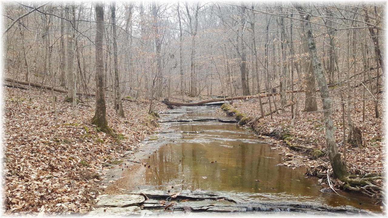 8364 Old Pond Creek Rd - Photo 1
