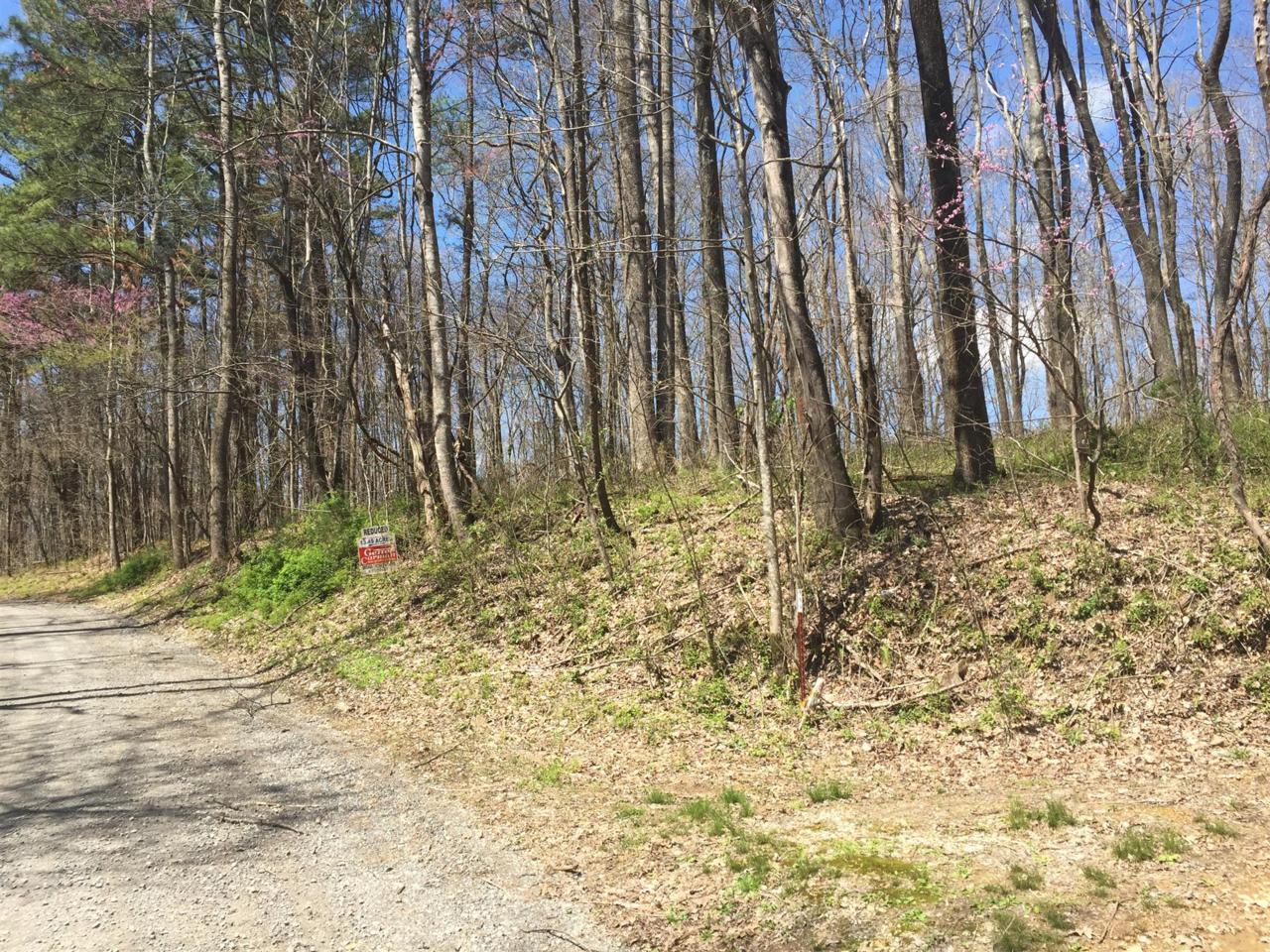 0 Public Well Road - Photo 1