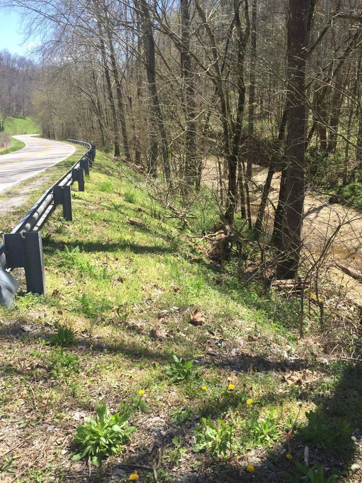 0 Wartrace Highway - Photo 1
