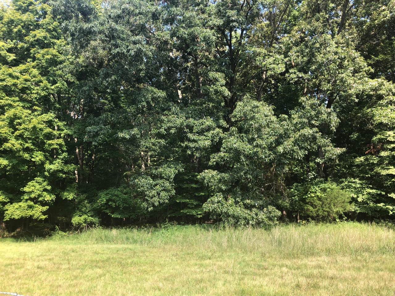 0 Britton Springs Rd - Photo 1
