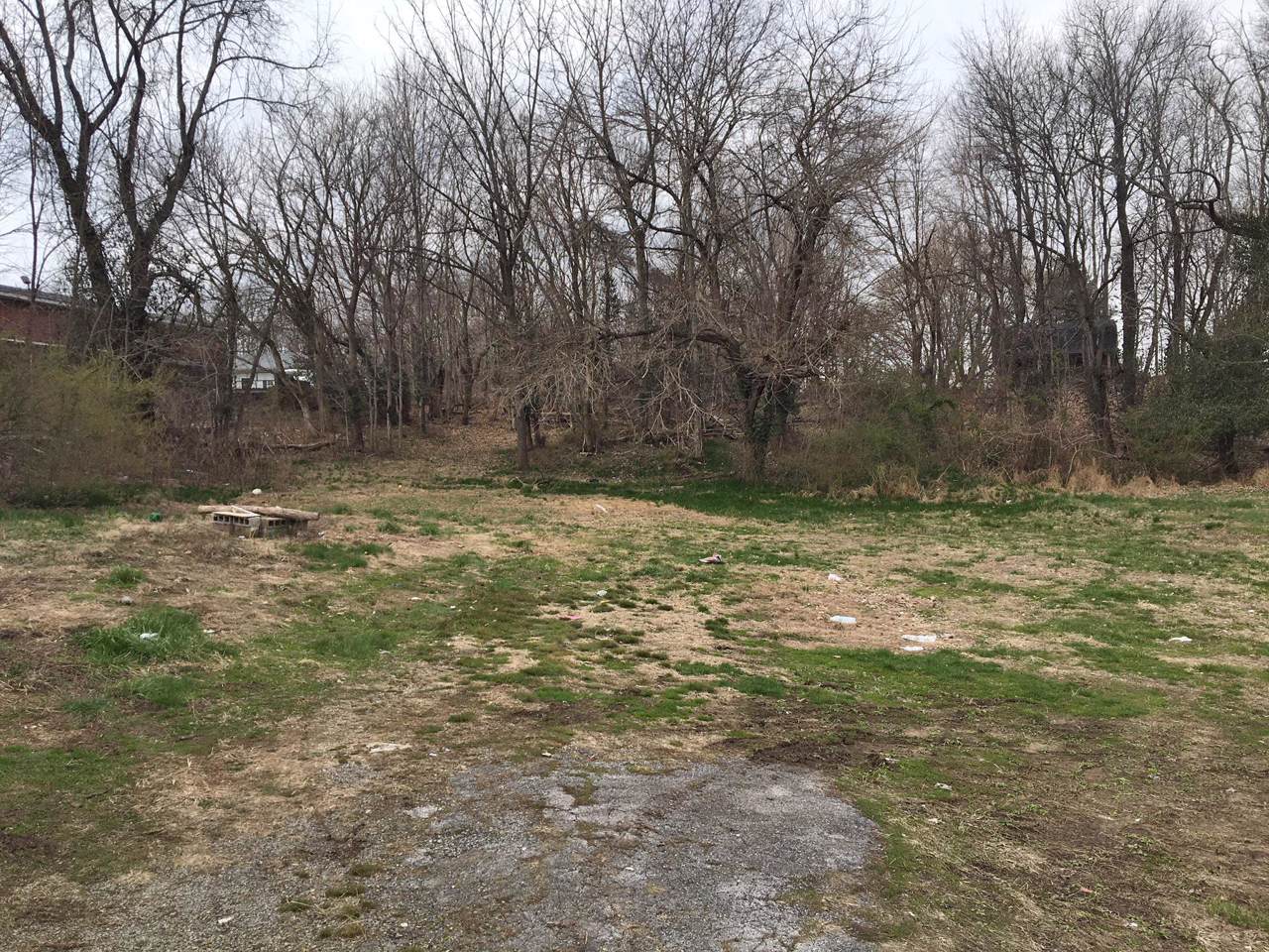 3309 Highway 31W - Photo 1