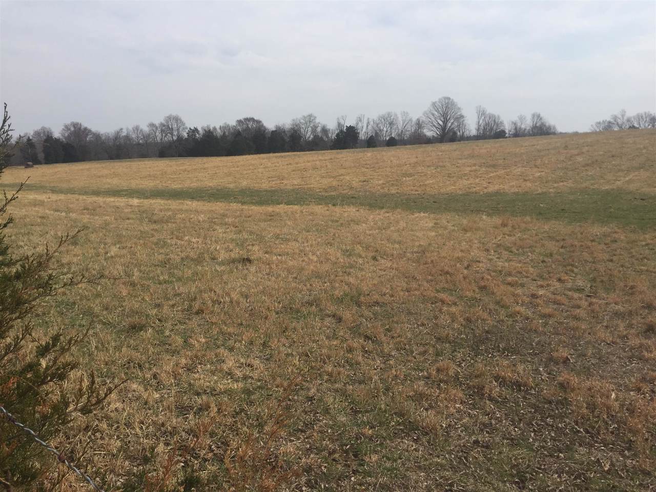 0 Opossum Rd - Photo 1