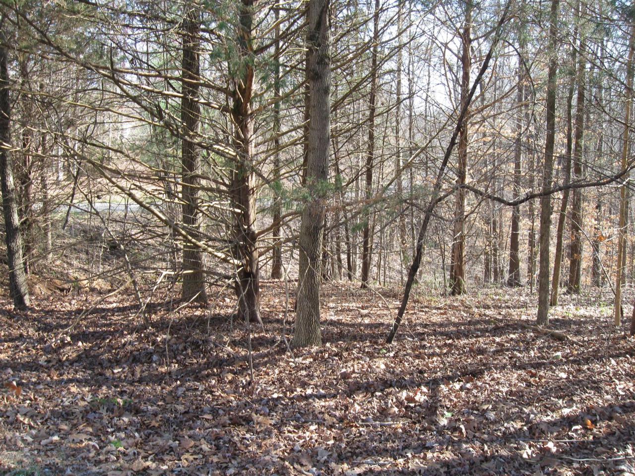 0 Leatherwood Dr - Photo 1