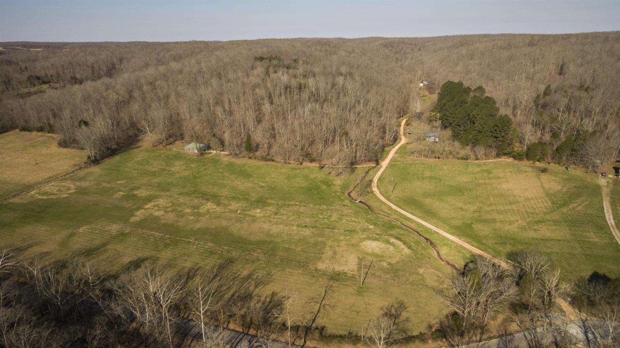 669 Catheys Creek Rd - Photo 1
