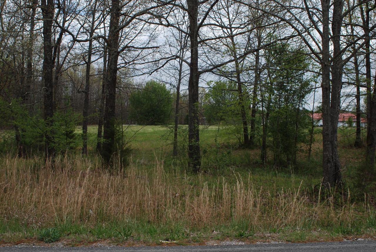 0 Cindy Hollow Rd - Photo 1