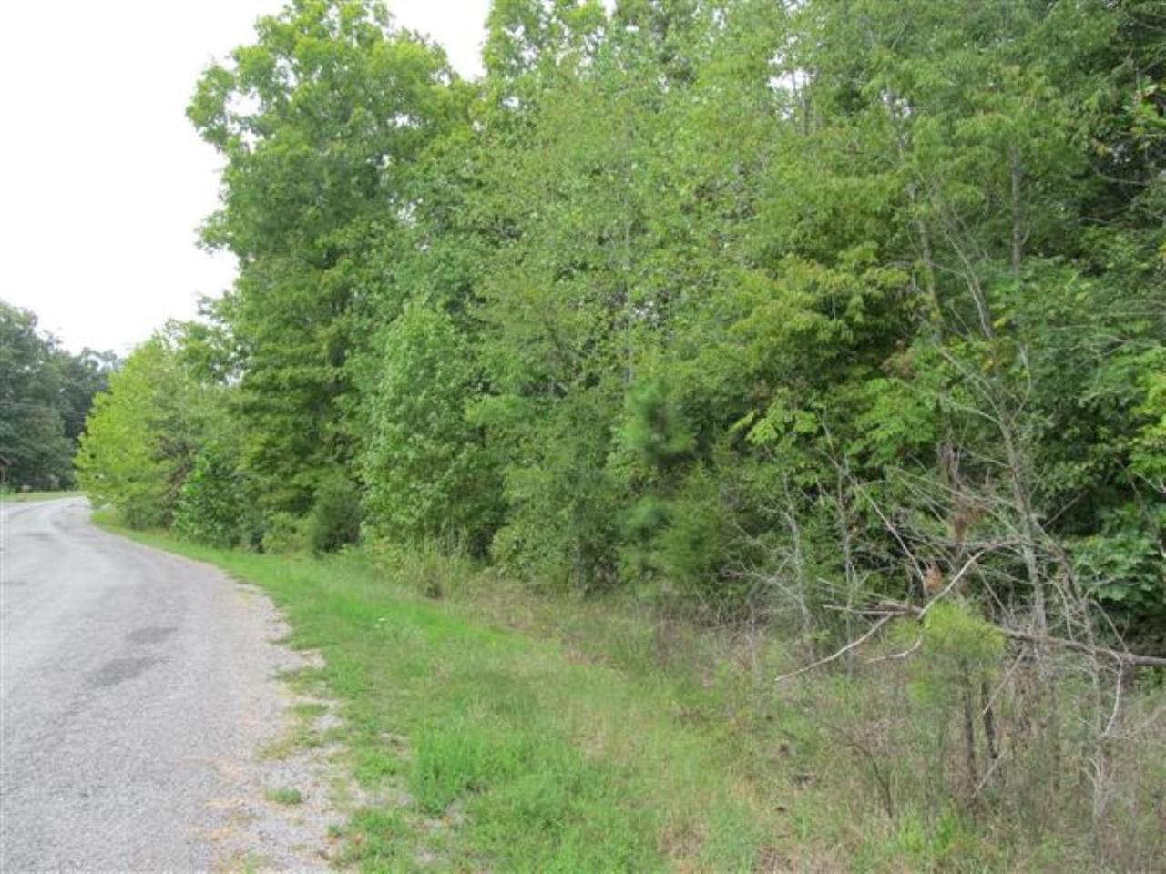 0 Twin Oaks Rd - Photo 1