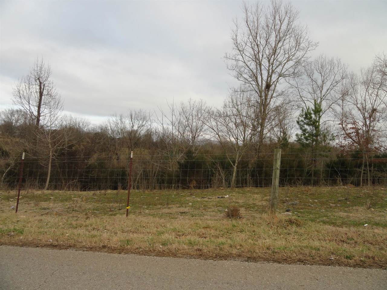 0 Shelbyville Mills Road - Photo 1